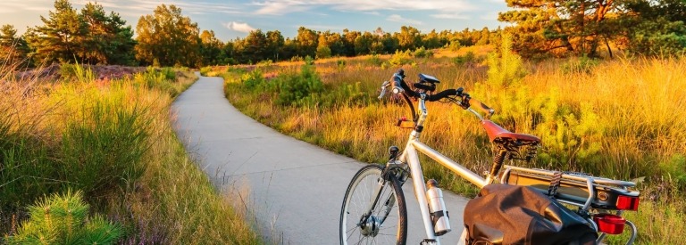 Een fiets dat op een fietspad staat tussen de heide en bossen